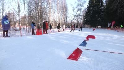 Жителей Марий Эл приглашают на большие лыжные старты