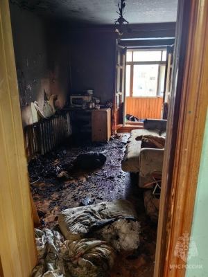 В Йошкар-Оле на пожаре в квартире погиб 52-летний мужчина
