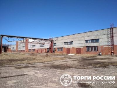 В Марий Эл на продажу выставлен Завод детского питания