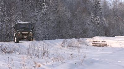 В Марий Эл проходит зимняя перепись диких животных