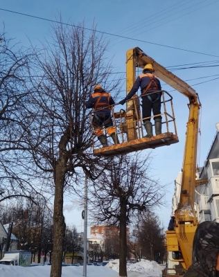 В Йошкар-Оле началась весенняя обрезка деревьев