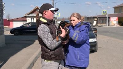 Йошкар-Олинская городская станция по борьбе с болезнями животных начинает выездную вакцинацию против бешенства