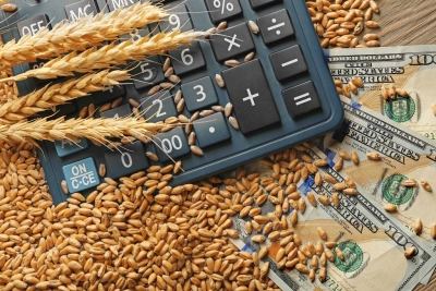 Марий Эл с начала года более чем в два раза нарастила экспорт продукции АПК
