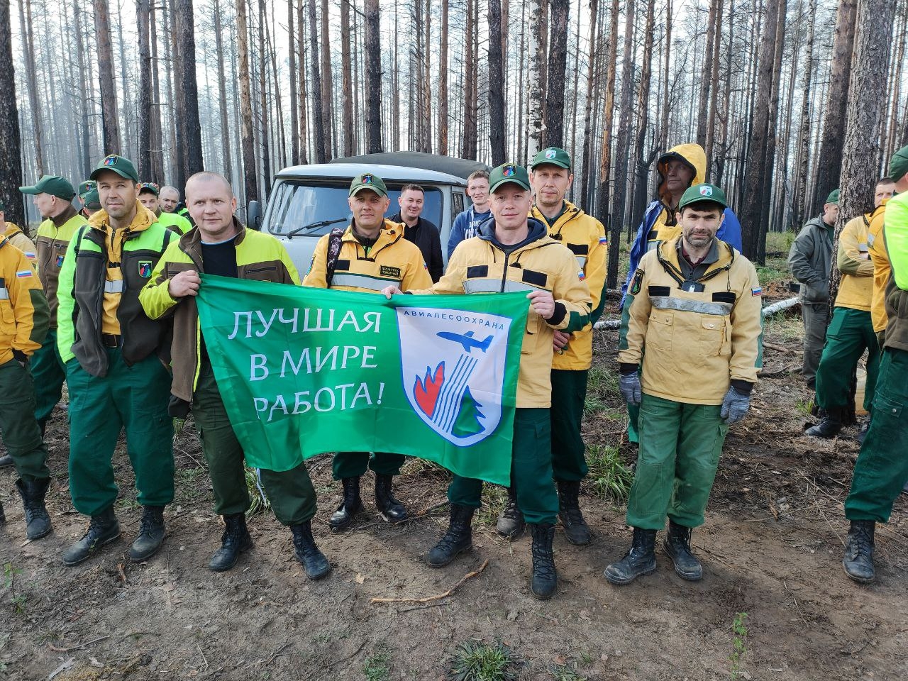 Парашютисты и десантники Приволжского авиаотделения Авиалесоохраны посадили  лес в Марий Эл » МЭТР - Марий Эл Телерадио