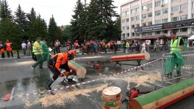 В Йошкар-Оле определили лучшего вальщика леса