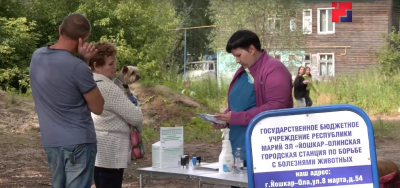 В среду йошкаролинцы смогут бесплатно привить домашних животных от бешенств