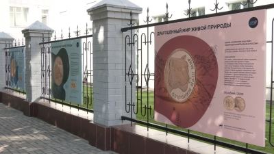 Фотовыставка «Драгоценный мир живой природы» открылась на улице Палантая в Йошкар-Оле