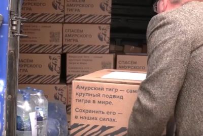 Марий Эл ТВ: Почтышто пашам ыштыше-влакым саламленыт