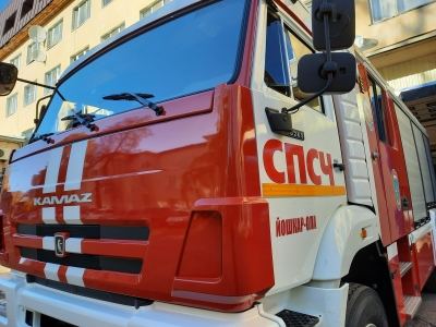 В Марий Эл установили особый противопожарный режим