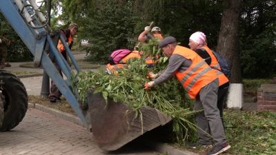 Перед Днем города в Йошкар-Оле привели в порядок скверы и парки