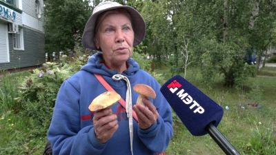 Где собирают и сколько стоят грибы в Марий Эл?