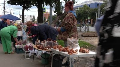 Марий Эл ТВ: Поҥго лектыш куандара