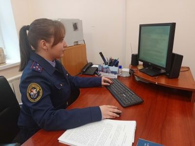 В Йошкар-Оле 16-летний подросток в погоне за «легким заработком» попал за решетку