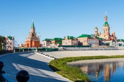 От жителей Йошкар-Олы принимают жестяные консервные банки на нужды СВО