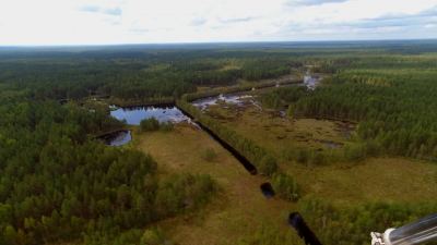 В Марий Эл семьи участников СВО обеспечивают дровами