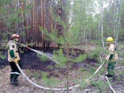 С начала сезона в Марий Эл произошло 45 лесных пожаров