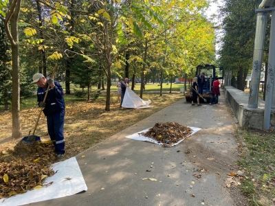 Йошкаролинцев объединил всероссийский экологический субботник