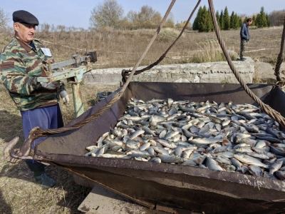 Коротни села воктене Юл эҥерыш 61 тӱжем утла колигым колтеныт