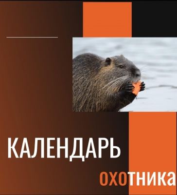 Республикыште умдыр, рывыж да вӱдыштӧ ийын коштшо кайыквусым сонарлыме жап почылтын