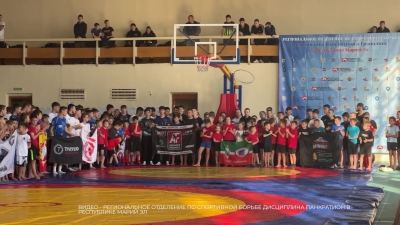 Борцы из Марий Эл взяли золото соревнований памяти Родионова