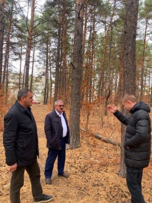 Волжскышто йолгорным волгалтарат