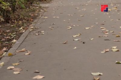 В Йошкар-Оле коммунальщики убирают с дорог опавшую листву