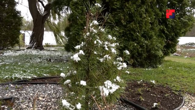 Первый месяц весны в Марий Эл закончится апрельской погодой