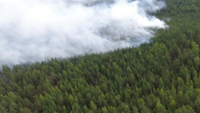 Руководитель Минприроды Марий Эл рассказал о запретах с 1 апреля из-за пожароопасности лесов