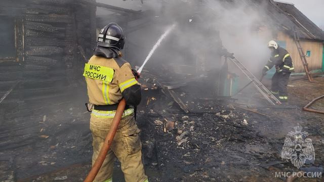 В Марий Эл на пожаре пожилая женщина получила ожоги рук и лица