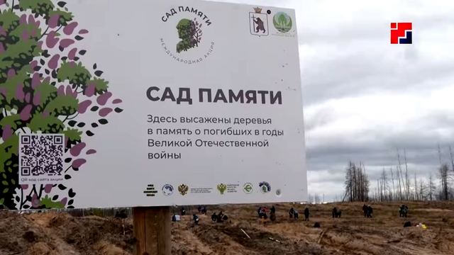 В этом году в Марий Эл планируется восстановить более четырёх тысяч гектаров леса