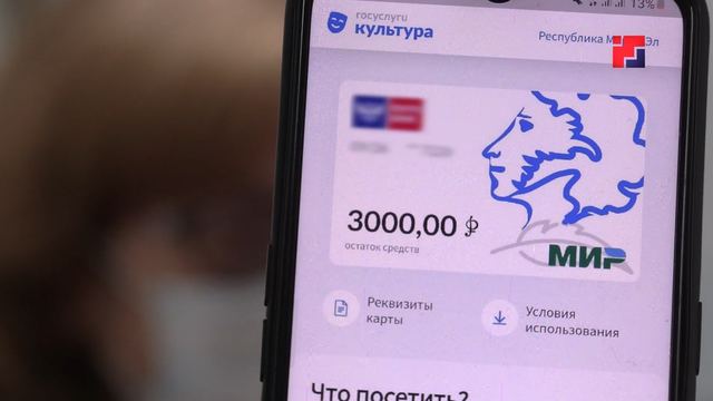 Более 63 тысяч жителей Марий Эл пользуются «Пушкинской картой»