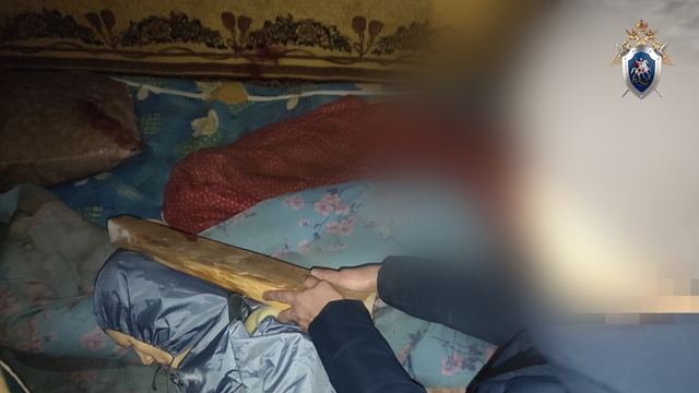 Жительница Марий Эл предстанет перед судом за убийство сожителя