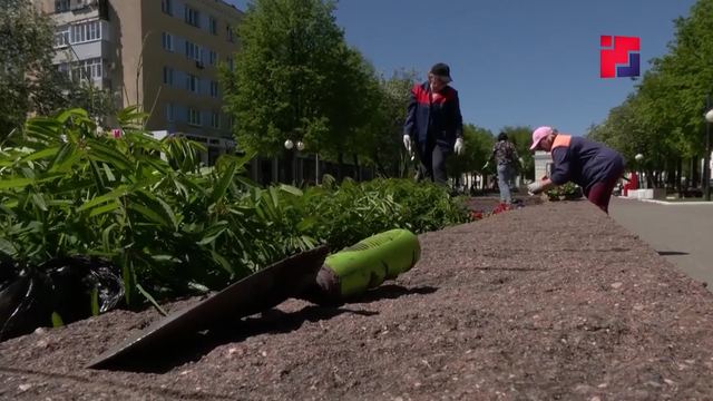 Юрий Зайцев приглашает жителей Марий Эл присоединиться к всероссийскому субботнику