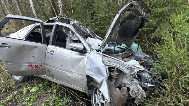 В Марий Эл в результате ДТП с лосем пострадали пять человек