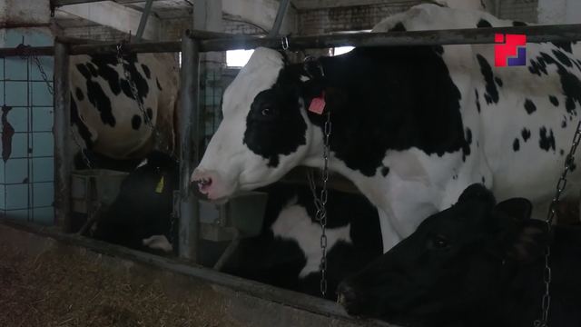 В Марий Эл в прошлом году произвели агропромышленной продукции на 63 миллиарда рублей