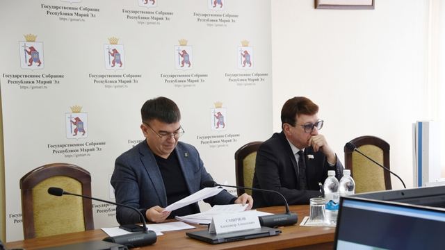 Объявили результаты конкурсного отбора в Молодёжный парламент Марий Эл