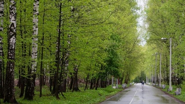 Парки и рощи Йошкар-Олы обрабатывают от клещей