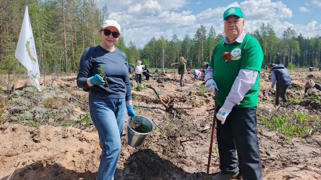 В Марий Эл завершается ежегодная акция «Сад памяти»