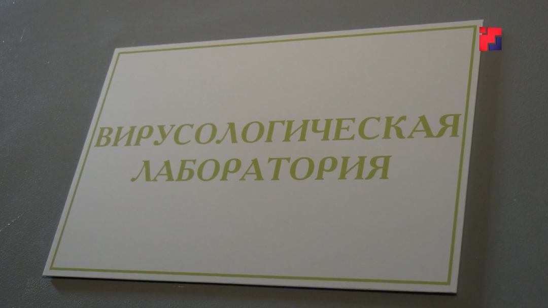 С начала сезона у троих жителей Марий Эл подтвердился клещевой боррелиоз