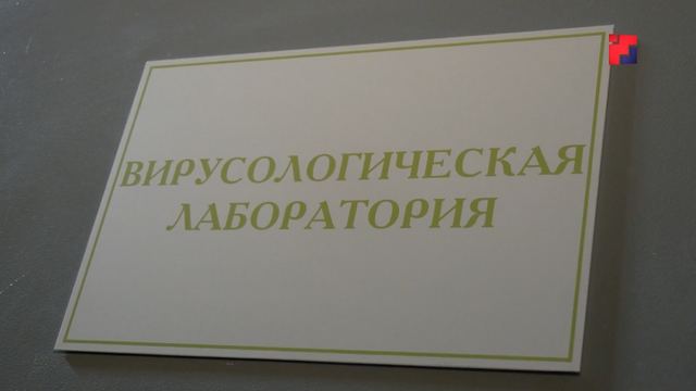 С начала сезона у троих жителей Марий Эл подтвердился клещевой боррелиоз