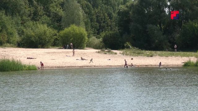 Эксперты проверили качество воды на одном из йошкар-олинских пляжей