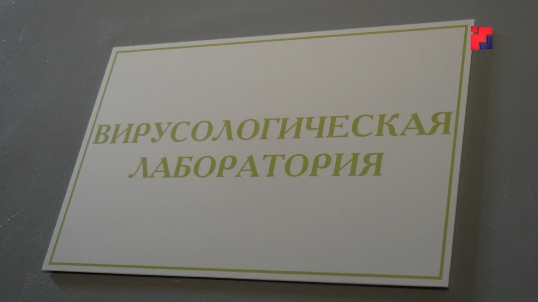 За неделю более 60 жителей Марий Эл пострадали от укусов клещей