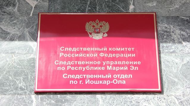 Жителю Марий Эл грозит до десяти лет лишения свободы за применение насилия в отношении сотрудника Госавтоинспекции