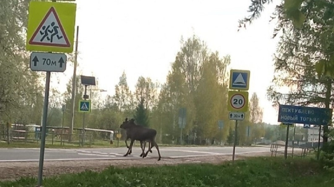 В Марий Эл водителей предупредили о необходимости снижения скорости на автодорогах