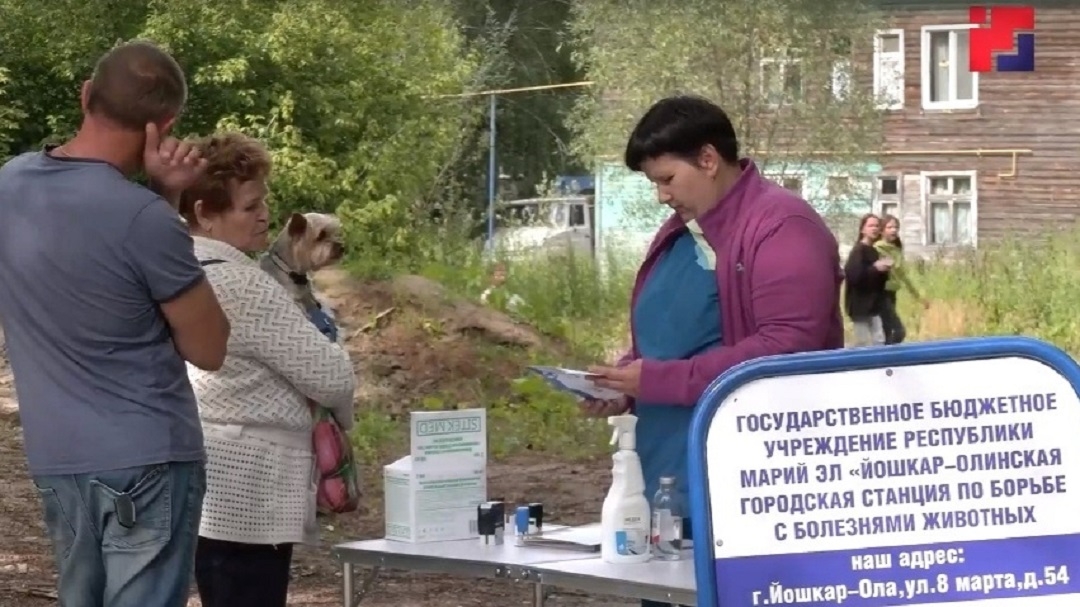 В Йошкар-Оле пройдет выездная вакцинация против бешенства