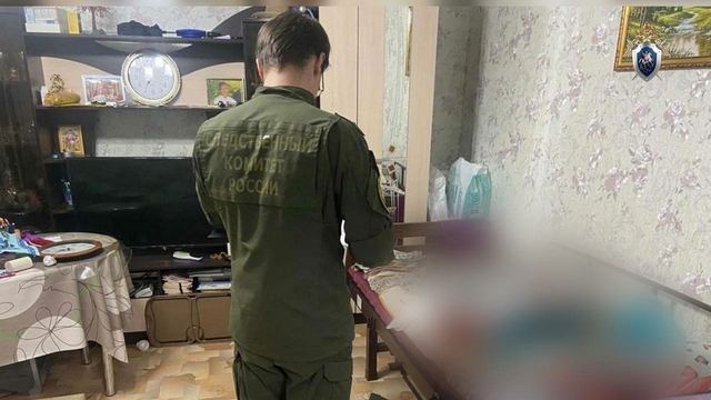 В Марий Эл признали вину мужчины в причинении тяжкого вреда здоровью жены и убийстве ее матери