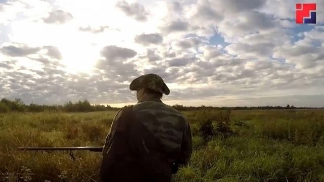 В Марий Эл стартует сезон охоты с собаками