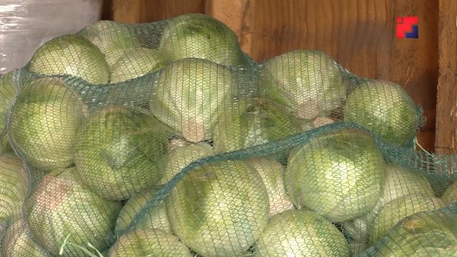 В Марий Эл аграрии готовятся к сезону уборки зерновых, картофеля и овощей