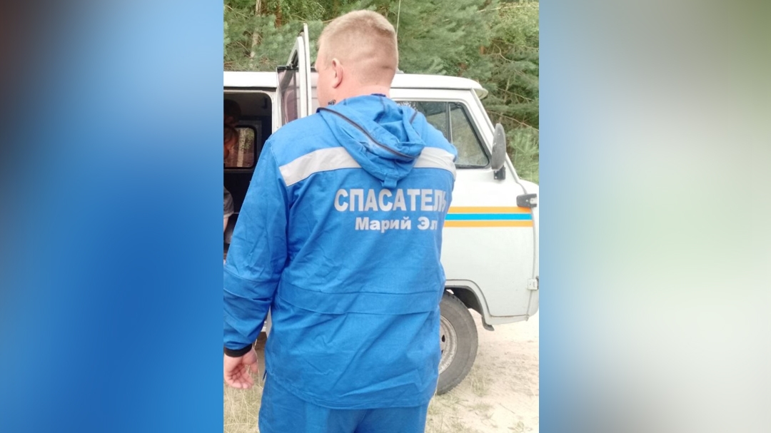 В Марий Эл спасатели вывели двухлетнюю девочку из лесного массива