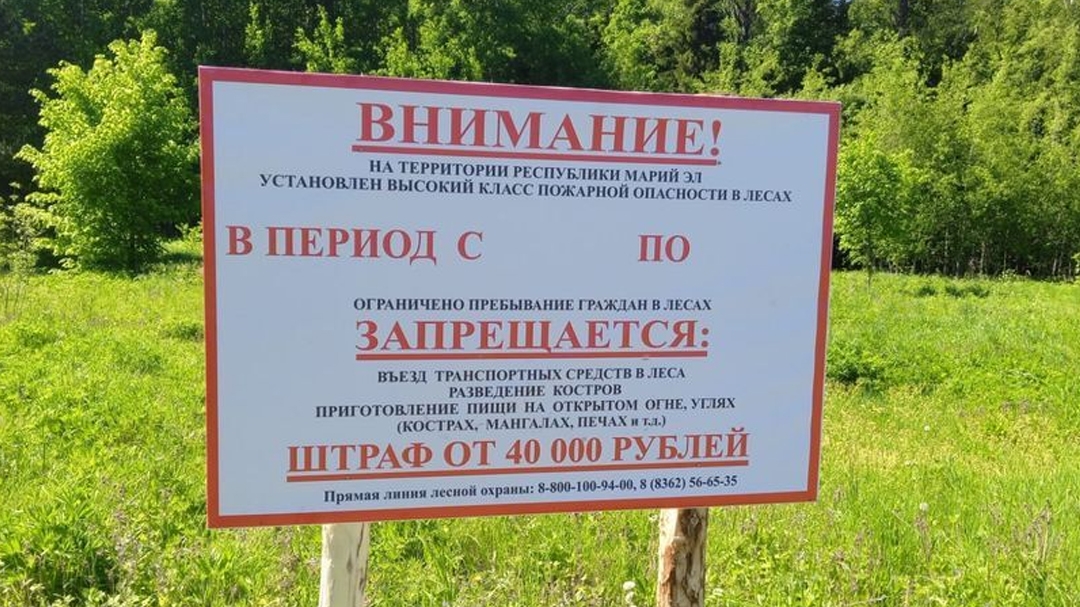 В Марий Эл ведутся работы по противопожарному обустройству лесов